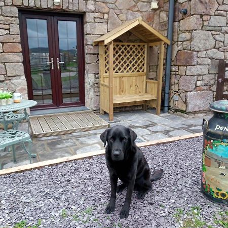 Conwy Pen Cefn Farm Holiday أبرجيل المظهر الخارجي الصورة
