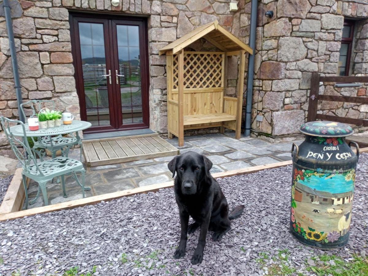 Conwy Pen Cefn Farm Holiday أبرجيل المظهر الخارجي الصورة