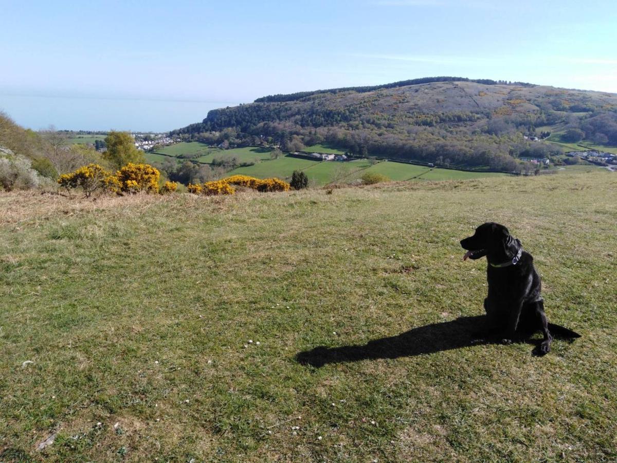 Conwy Pen Cefn Farm Holiday أبرجيل المظهر الخارجي الصورة