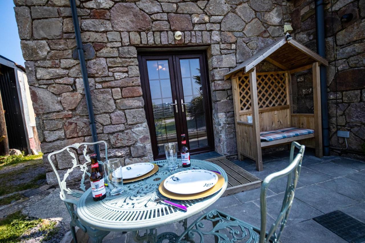 Conwy Pen Cefn Farm Holiday أبرجيل المظهر الخارجي الصورة